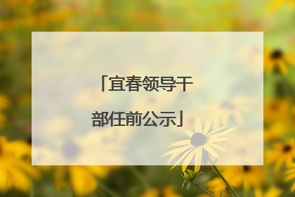宜春领导干部任前公示