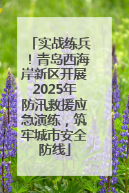 实战练兵！青岛西海岸新区开展2025年防汛救援应急演练，筑牢城市安全防线