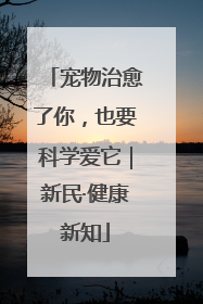 宠物治愈了你，也要科学爱它｜新民·健康新知