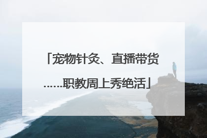 宠物针灸、直播带货……职教周上秀绝活