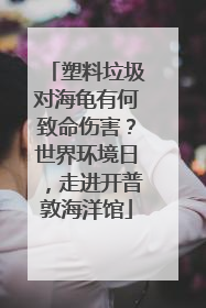 塑料垃圾对海龟有何致命伤害？世界环境日，走进开普敦海洋馆