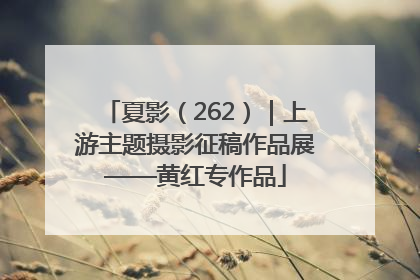 夏影（262）｜上游主题摄影征稿作品展——黄红专作品