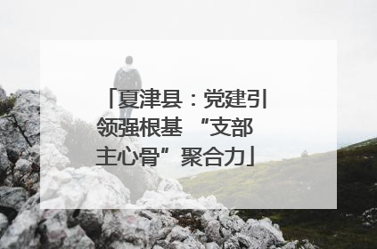 夏津县：党建引领强根基 “支部主心骨”聚合力
