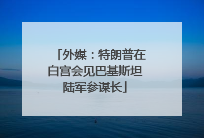 外媒：特朗普在白宫会见巴基斯坦陆军参谋长