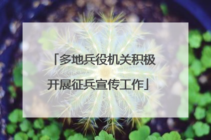 多地兵役机关积极开展征兵宣传工作