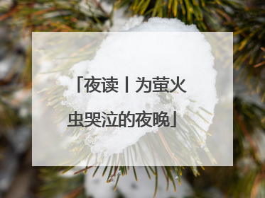 夜读丨为萤火虫哭泣的夜晚