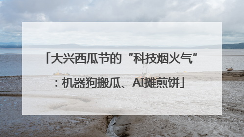 大兴西瓜节的“科技烟火气”：机器狗搬瓜、AI摊煎饼