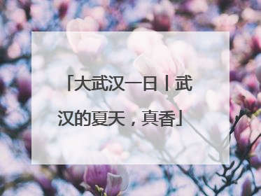 大武汉一日丨武汉的夏天，真香