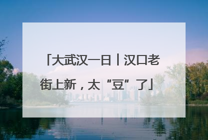 大武汉一日︱汉口老街上新，太“豆”了