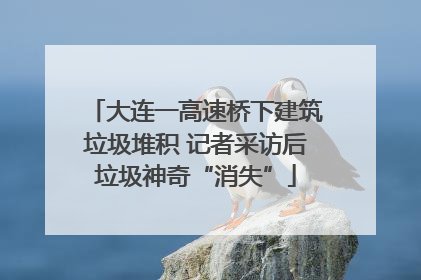 大连一高速桥下建筑垃圾堆积 记者采访后垃圾神奇“消失”