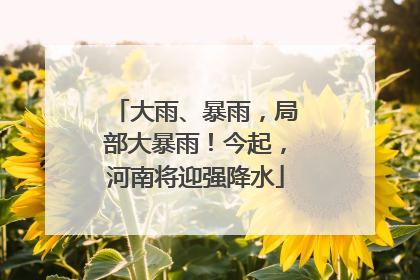 大雨、暴雨，局部大暴雨！今起，河南将迎强降水