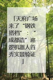天府广场来了“钢铁搭档”：“成都造”巡逻机器人首秀实景验证