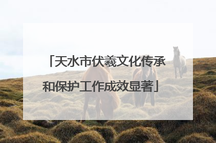 天水市伏羲文化传承和保护工作成效显著