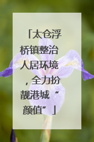 太仓浮桥镇整治人居环境，全力扮靓港城“颜值”