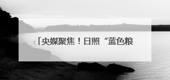 央媒聚焦！日照“蓝色粮仓”书写向海图强新篇章