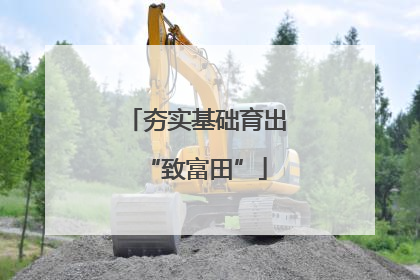 夯实基础育出“致富田”
