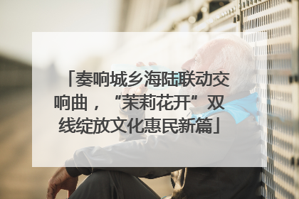 奏响城乡海陆联动交响曲，“茉莉花开”双线绽放文化惠民新篇