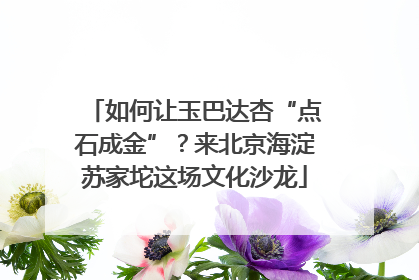 如何让玉巴达杏“点石成金”？来北京海淀苏家坨这场文化沙龙
