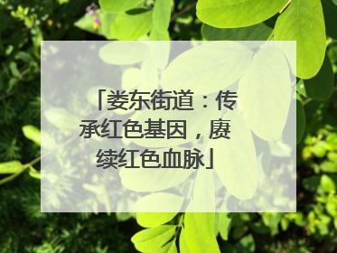 娄东街道：传承红色基因，赓续红色血脉