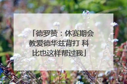 德罗赞：休赛期会教爱德华兹背打 科比也这样帮过我