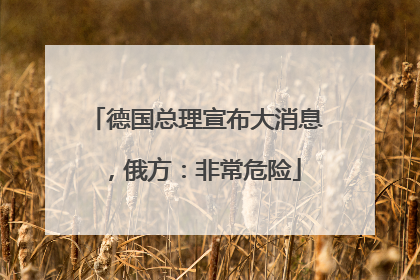 德国总理宣布大消息，俄方：非常危险