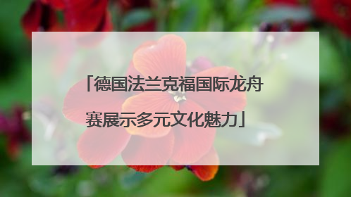 德国法兰克福国际龙舟赛展示多元文化魅力