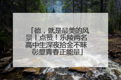 德，就是最美的风景丨点赞！乐陵两名高中生深夜拾金不昧 彰显青春正能量