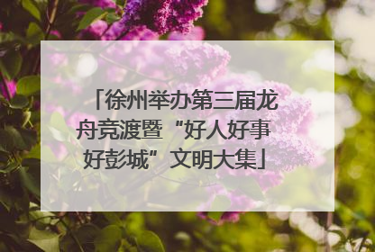 徐州举办第三届龙舟竞渡暨“好人好事好彭城”文明大集