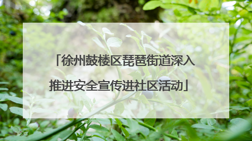 徐州鼓楼区琵琶街道深入推进安全宣传进社区活动