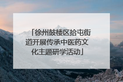 徐州鼓楼区拾屯街道开展传承中医药文化主题研学活动