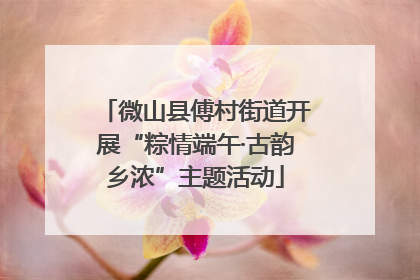 微山县傅村街道开展“粽情端午·古韵乡浓”主题活动