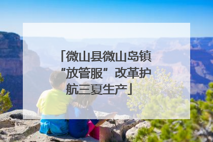 微山县微山岛镇“放管服”改革护航三夏生产