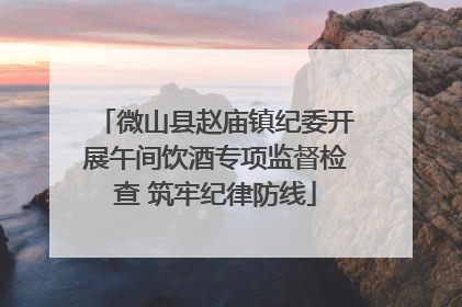 微山县赵庙镇纪委开展午间饮酒专项监督检查 筑牢纪律防线