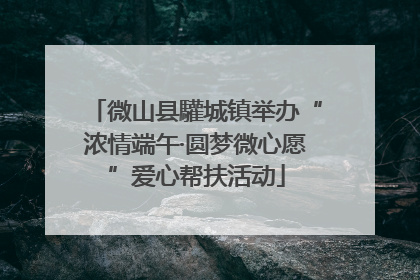 微山县驩城镇举办“浓情端午·圆梦微心愿”爱心帮扶活动