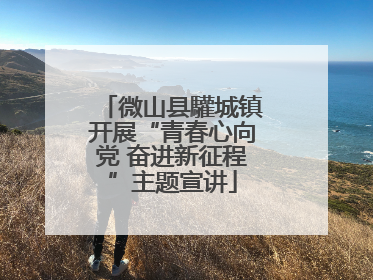 微山县驩城镇开展“青春心向党 奋进新征程”主题宣讲