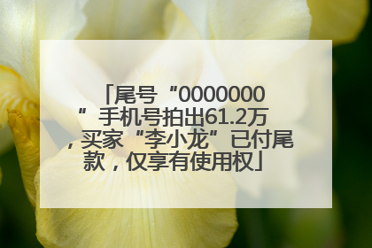 尾号“0000000”手机号拍出61.2万，买家“李小龙”已付尾款，仅享有使用权