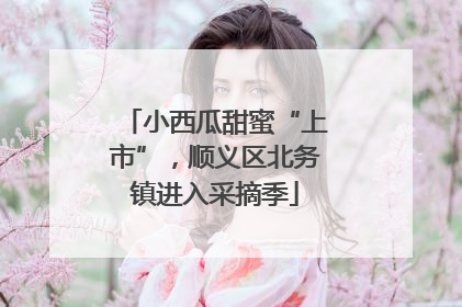 小西瓜甜蜜“上市”，顺义区北务镇进入采摘季