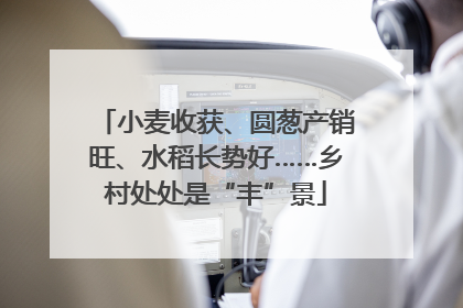 小麦收获、圆葱产销旺、水稻长势好……乡村处处是“丰”景