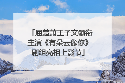 屈楚萧王子文领衔主演《有朵云像你》剧组亮相上影节