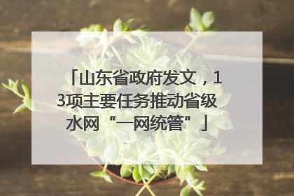 山东省政府发文，13项主要任务推动省级水网“一网统管”