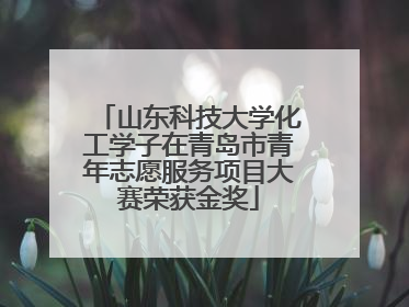 山东科技大学化工学子在青岛市青年志愿服务项目大赛荣获金奖