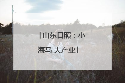 山东日照：小海马 大产业