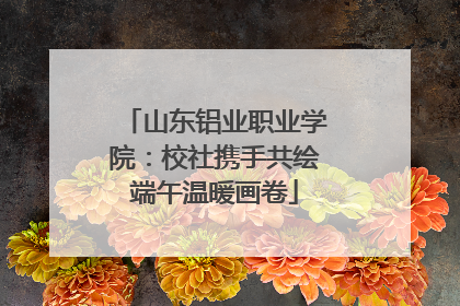 山东铝业职业学院：校社携手共绘端午温暖画卷