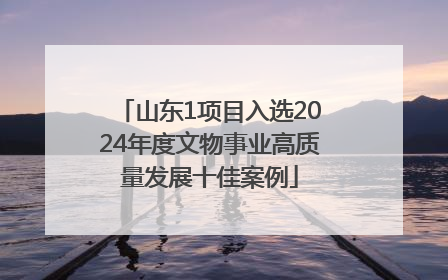 山东1项目入选2024年度文物事业高质量发展十佳案例