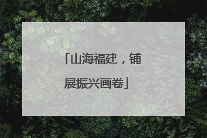 山海福建，铺展振兴画卷