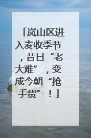 岚山区进入麦收季节，昔日“老大难”，变成今朝“抢手货”！