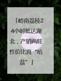 岭南荔枝24小时抵达湖北，产销两旺性价比真“给荔”