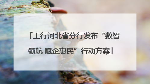 工行河北省分行发布“数智领航 赋企惠民”行动方案