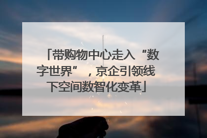 带购物中心走入“数字世界”，京企引领线下空间数智化变革