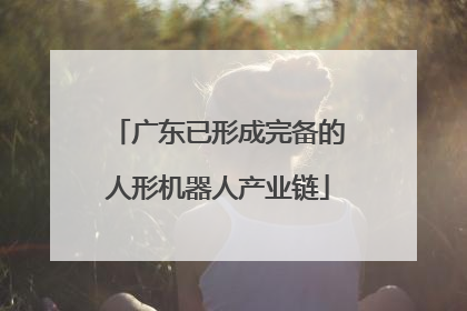广东已形成完备的人形机器人产业链